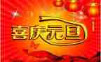 元旦节安全心得体会8篇