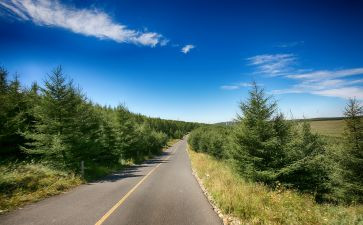 到远方去话题作文5篇