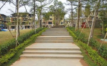 园建管理个人总结通用8篇