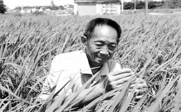 写袁隆平的微作文最新5篇