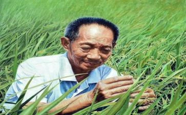 写袁隆平的微作文推荐6篇