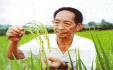 袁隆平的作文通用6篇