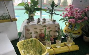 幼儿园培训工作的总结报告5篇