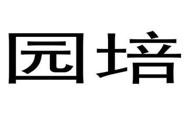 幼儿园培训幼小衔接心得体会8篇
