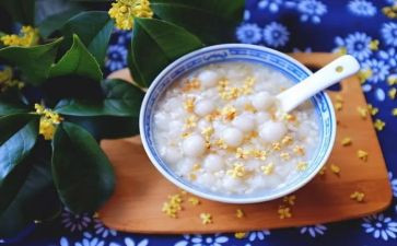 父的园子读后感7篇