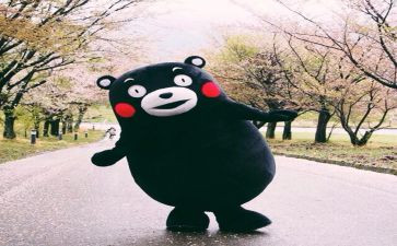 读好书,悦读书心得体会7篇