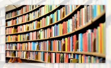 阅读工作计划6篇