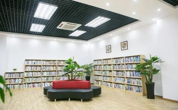 图书阅览工作总结7篇