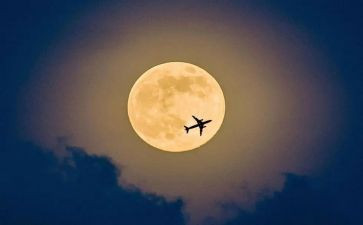 月亮优秀作文优质7篇