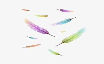 打羽毛球的活动总结推荐6篇