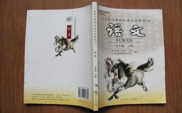 一年语文级教学计划8篇