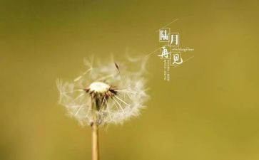 再见2024作文精选6篇