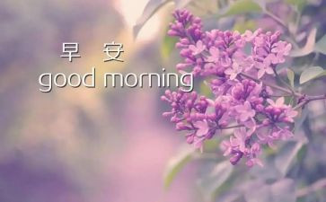 安全早会议讲话稿8篇