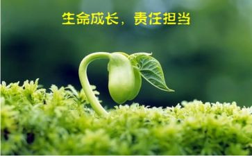 责任在肩心得体会最新7篇