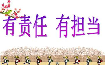 党责任与担当心得体会5篇