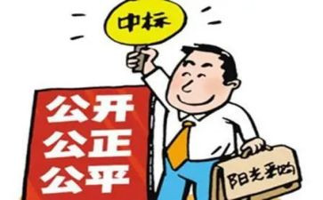 招标工作个人年终总结7篇