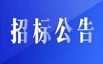 工程招标代理合同推荐8篇
