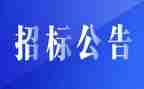 工程招标代理合同推荐8篇