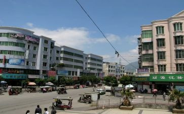镇项目办述职报告7篇