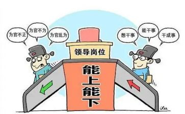 乡镇长工作总结8篇