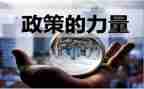 双减政策活动总结6篇