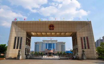 政府报心得体会5篇