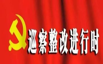 对标整改报告模板5篇