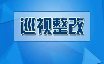 从严治党整改报告6篇