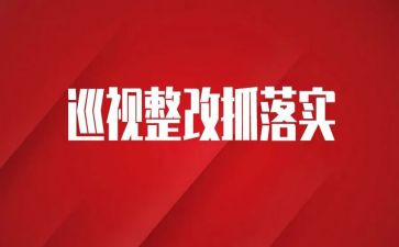 对标整改报告推荐6篇