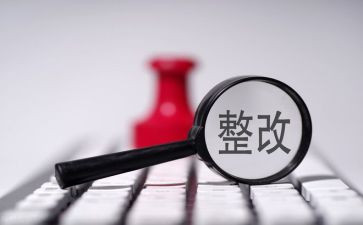 对标整改报告7篇