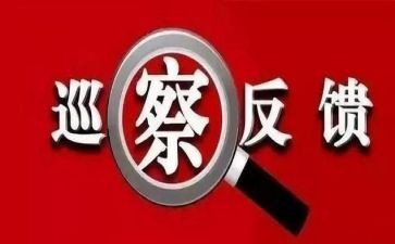 2024巡察整改报告7篇