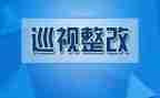 从严治党整改报告6篇
