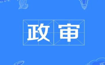 教师编政审的个人总结8篇
