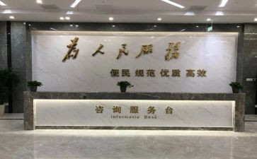 政务服务月工作总结8篇