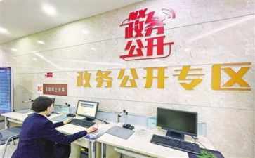 515政务公开日活动总结5篇
