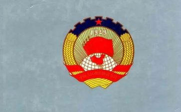市政协委员述职报告6篇