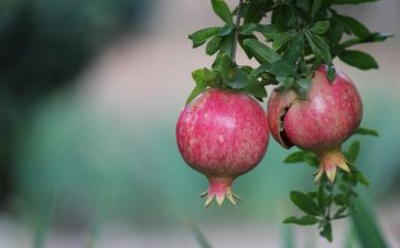 真实的梦作文400字5篇