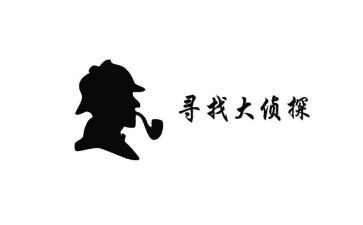 大侦探心得体会6篇