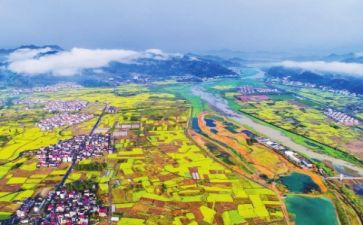 2024年度乡村振兴工作总结5篇