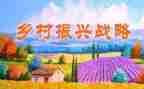 局乡村振兴工作计划推荐6篇