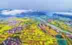 2024年度乡村振兴工作总结5篇