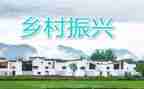 镇级乡村振兴工作汇报范文6篇
