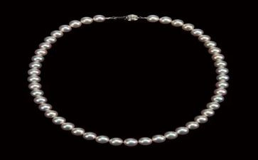 捡珍珠教案精选8篇