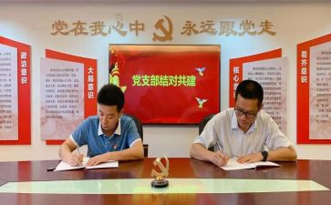 一支部述职报告优秀8篇
