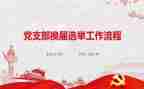 村党支部换届工作总结8篇