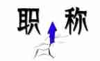 教师职称述职报告通用8篇