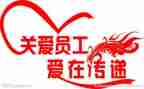 职工的年度总结模板5篇