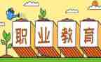 看职教周心得体会800精选7篇
