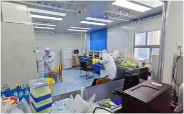 质量年活动总结通用7篇