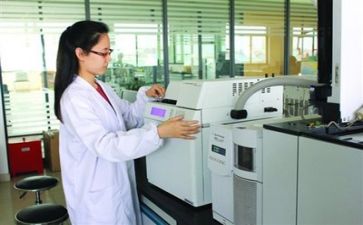 2024年质量月总结通用8篇